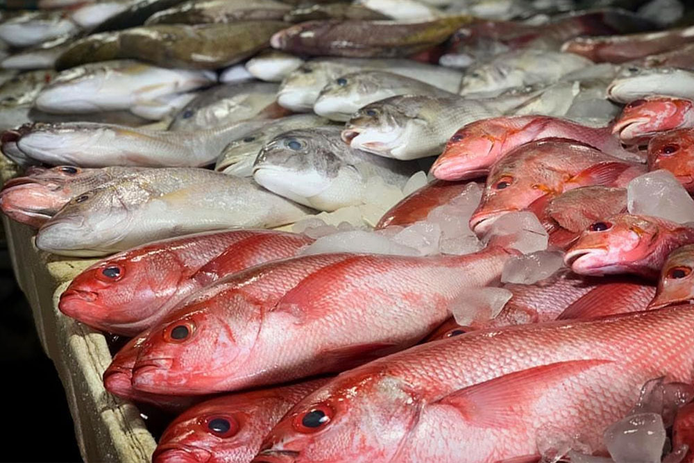 An optional guided visit to the Jimbaran Fish Market to select fresh seafood and local produce
